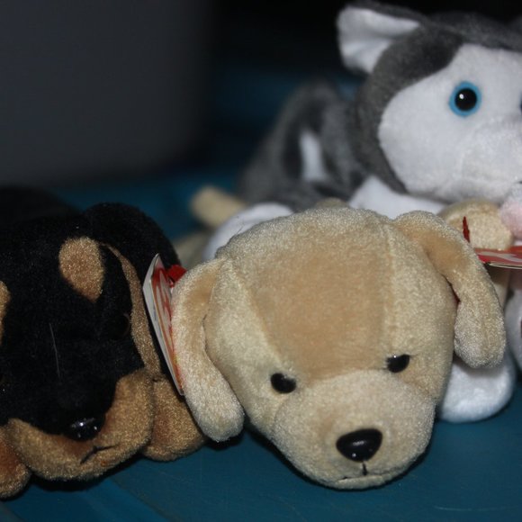 TY Beanie Baby Babies Lot Of 5 DOGS *Nanook, Doby, Tracker, Butch, Fetch MWMT - Picture 2 of 3